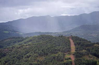 Guarda Ormanı bakış açısı, İspanya 'nın Malaga eyaletinin El Burgo belediyesine bağlı doğal manzaralı bir güzelliktir.