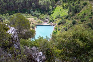 Guarda Ormanı bakış açısı, İspanya 'nın Malaga eyaletinin El Burgo belediyesine bağlı doğal manzaralı bir güzelliktir.