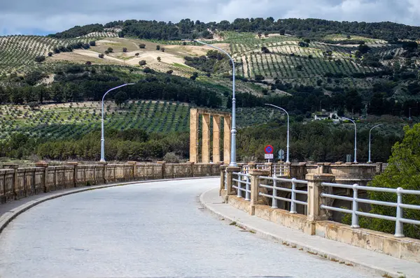 Los Bermejales Barajı, İspanya 'nın Granada eyaletindeki doğal manzaralar ve çam ormanlarıyla çevrili sakin bir su kütlesidir.