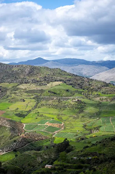 Sierra Tejeda Doğal Parkı 'nda çarpıcı manzaralar ve barışçıl doğa deneyimleri sunan doğa, yürüyüş yollarını çevrelemektedir.