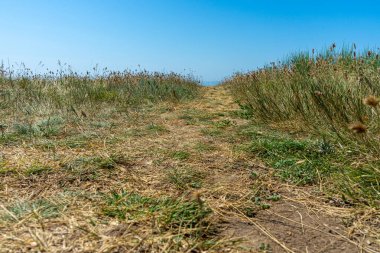 Ukrayna 'nın Mykolaiv bölgesindeki Rybakivka köyü yakınlarında yer alan Adzhiyask Burnu' ndan inanılmaz panoramik deniz manzarası, sakin bir kıyı manzarası ve doğal güzellik sunuyor..