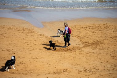 Gijn, İspanya 'nın Asturias kentinde 7 Nisan 2025 tarihinde kurulmuş canlı bir sahil kentidir..