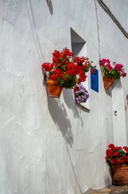 FRIGILIANA, SPAIN - 10 Mayıs 2025: Frigiliana, İspanya 'da beyazlatılmış evler ve renkli çiçeklerle çevrili büyüleyici dar sokaklarda huzurlu bir yürüyüş