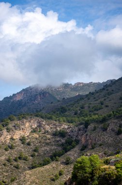 FRIGILIANA, SPAIN - 10 Mayıs 2025: Frigiliana, İspanya 'da beyazlatılmış evler ve renkli çiçeklerle çevrili büyüleyici dar sokaklarda huzurlu bir yürüyüş