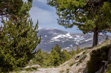 Sierra Nevada Ulusal Parkı, İspanya 'da bahar aylarında Mulhacen tepesine yürüyüş yolu.