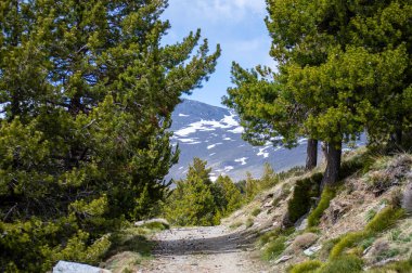 Sierra Nevada Ulusal Parkı, İspanya 'da bahar aylarında Mulhacen tepesine yürüyüş yolu.