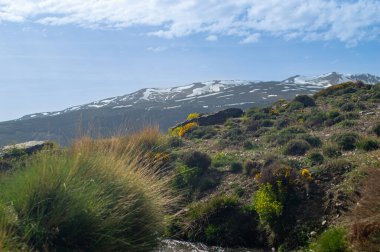 Sierra Nevada Ulusal Parkı, İspanya 'da bahar aylarında Mulhacen tepesine yürüyüş yolu.