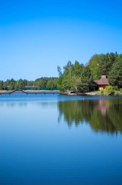 Ukrayna 'daki Sukholuchchya Parkı' ndan Dinyeper Nehri üzerinde sergilenen manzaralar dingin manzaralar ve yemyeşil alanlar sergiliyor..