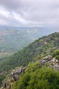 Guarda Ormanı bakış açısı, İspanya 'nın Malaga eyaletinin El Burgo belediyesine bağlı doğal manzaralı bir güzelliktir.