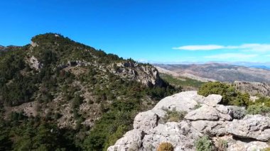 Torrecilla, Sierra de las Nieves Ulusal Parkı, Endülüs, İspanya