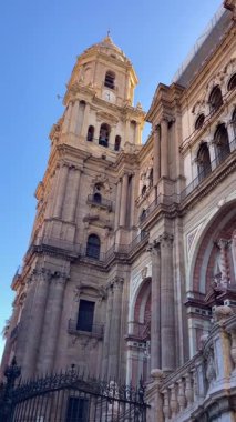 MALAGA, İSPAN - 10 Temmuz 2025 İspanya 'nın sakin caddelerinde sabah yürüyüşü, yumuşak güneş ışığı ve sakin şehir atmosferiyle.