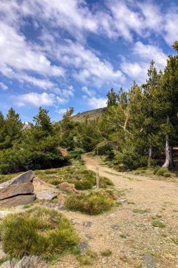 Sierra Nevada Ulusal Parkı, İspanya 'da bahar aylarında Mulhacen tepesine yürüyüş yolu.