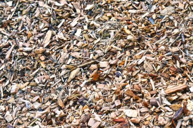 Styria 'da büyük bir odun yığını