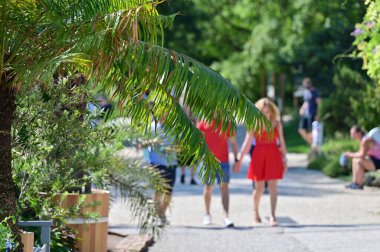 Viyana 'da yaz aylarında botanik bahçesi