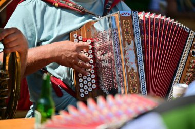 Styrian mızıkası - Salzkammergut 'ta tipik bir müzik enstrümanı - Bad Goisern' deki Gamsjagatage 'da