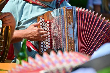 Styrian mızıkası - Salzkammergut 'ta tipik bir müzik enstrümanı - Bad Goisern' deki Gamsjagatage 'da