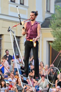 Linz Pavement Spectacle, Avrupa 'nın en önemli ve çeşitli sokak sanat festivallerinden biridir..