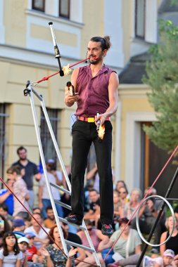 Linz Pavement Spectacle, Avrupa 'nın en önemli ve çeşitli sokak sanat festivallerinden biridir..