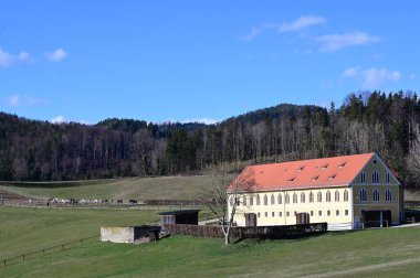 Lipizzaner çiftliği, Piber, Styria 'da Lipizzaners 1920' den beri burada yetiştiriliyor. Taçlar siyah, gri ya da kahverengi kürkle doğarlar. 7 ya da 8 yaşına kadar tipik beyaz renge bürünürler.