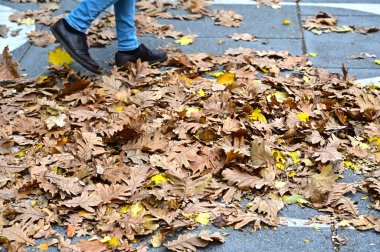 Şehirde yeşillikler arasında geziniyorum.