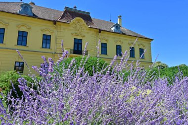 Aşağı Avusturya 'daki Marchfeld' deki Eckarsau Kalesi, son Avusturya İmparatoru Karl 'ın sığınağı.