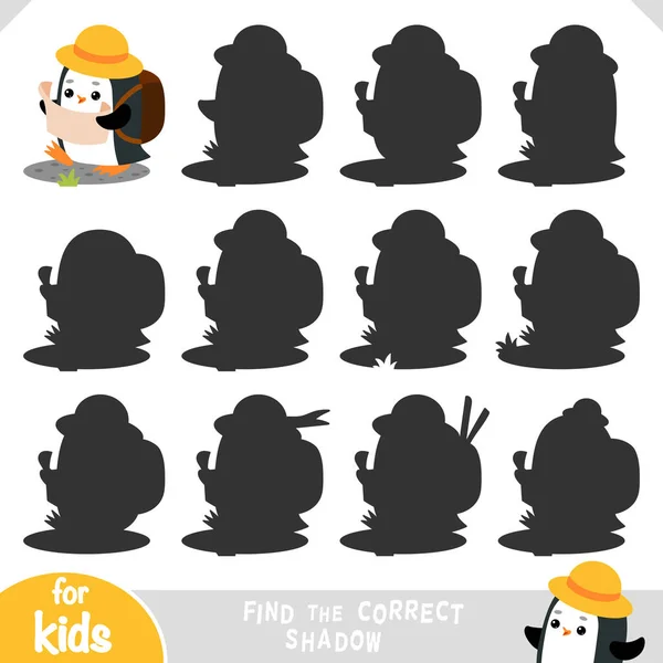 Encontrar Sombra Correcta Juego Educación Para Los Niños Cute Penguin — Archivo Imágenes Vectoriales
