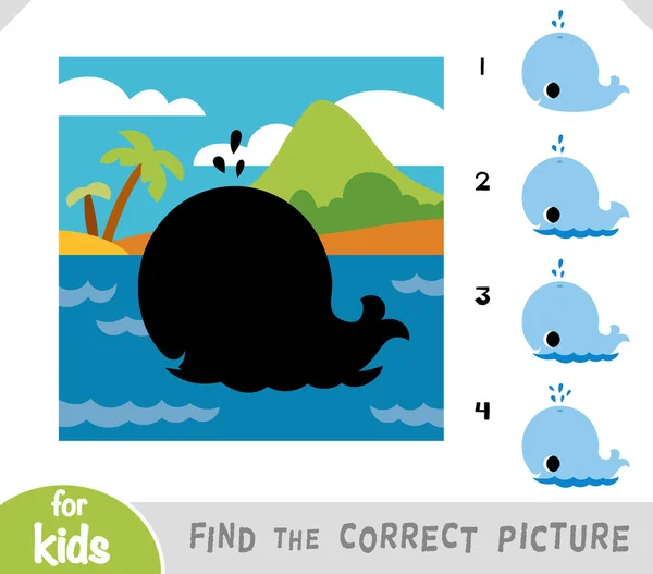 stock vector Find the correct shadow, education game for children, Cute whale and tropical island background