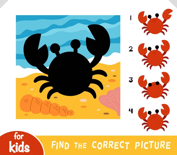 寻找正确的影子 为孩子们设计教育游戏 可爱的有海滩背景的卡通蟹 — 图库矢量图片