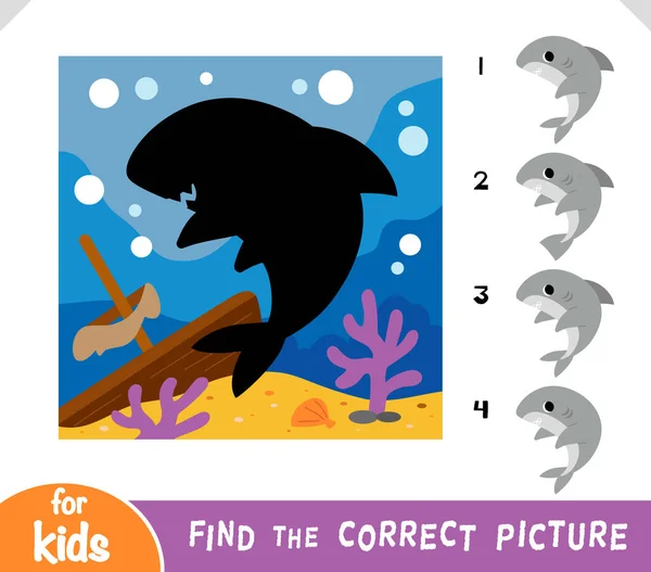 Find Correct Shadow Education Game Children Cute Shark Sunken Ship — Stock Vector