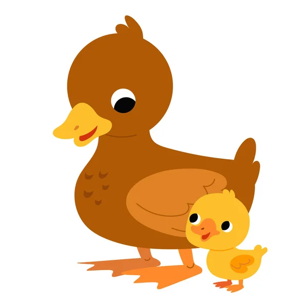 Cute Cartoon Duck Duckling Characters Vector Farm Birds Illustration Children — Stock Vector