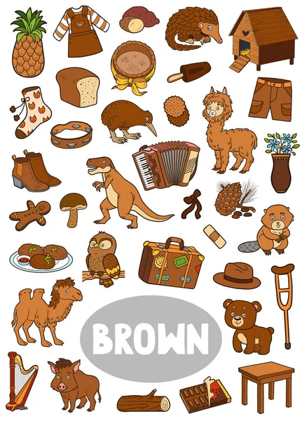 Bruine Kleurvoorwerpen Visueel Woordenboek Voor Kinderen Basiskleuren Verticale Cartoon Blad — Stockvector