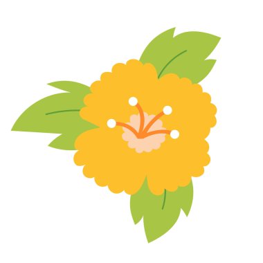 Basit taç yaprakları ve yeşil yaprakları olan çizgi film sarı çiçekleri. Beyaz arkaplanda izole edilmiş vektör düz çizim. Şirin doğa elementi.