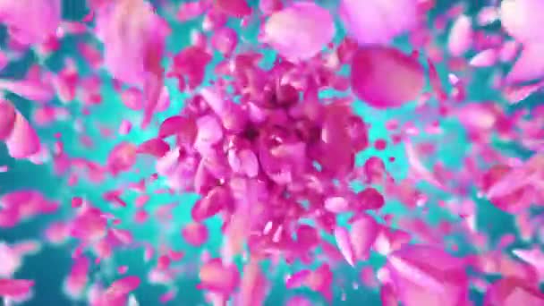 Dinâmico Explodindo Pétalas Rosa Coloridas — Vídeo de Stock