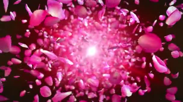 Циклічна Анімація Пелюсток Троянд — стокове відео