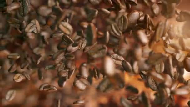 Kavrulmuş Kahve Çekirdekleri Ağır Çekimde Düşüyor — Stok video
