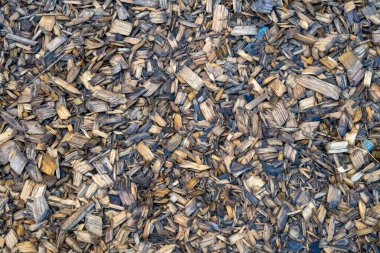 Arkaplan için ağaç yongaları