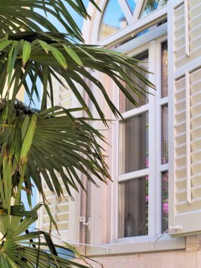 Güneşli tropikal palmiye yapraklarının güzel bir manzarası. Parlak bir pencereyi kepenklerle çerçeveliyor. Huzur ve sıcaklık hissi veriyor..