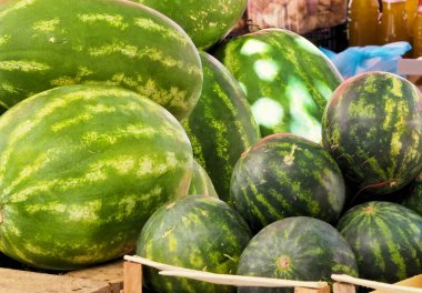 Hareketli bir çiftçi pazarında sergilenen olgun karpuz koleksiyonu canlı yeşil kabuklarını ve davetkar tazeliklerini sergiliyor. Yaz tatili, sağlıklı beslenme ve doğal tatlılık için ideal..