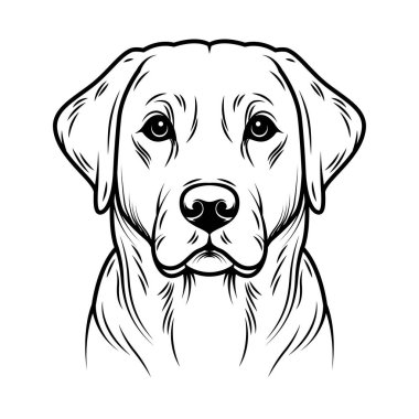Çizgi sanatı Labrador Retriever illüstrasyonu. Mürekkep stili, basım için sevimli bir hayvan. Vektör doğrusal siluet. Şeffaf dolgu, siyah çizgiler. Beyaz arkaplanda izole