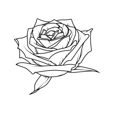 Siyah ve beyaz renkli moda gül vektör çizgisi dövmeler, boyama sayfaları, logolar ya da minimalist çiçek tasarımı projeleri için mükemmel. Beyaz arkaplanda izole