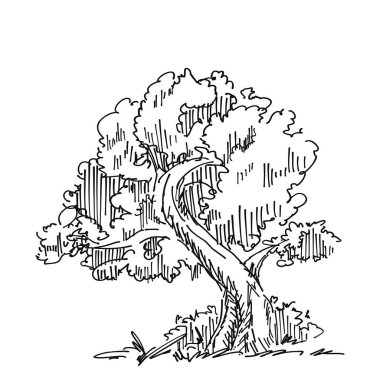 Orijinal vektör ağacı el yapımı çizgi sanatı, mürekkep stili, konsept tasarımı. Beyaz arka planda izole edilmiş siluet. Siyah taslak çizim çizimi. Korku çizimi. Siyah-beyaz simgesi.