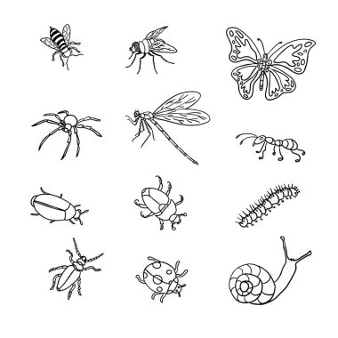 El çizimi böcek tasvirleri, boyama kitapları, eğitim materyalleri, çıkartmalar ve dekoratif projeler için mükemmel..
