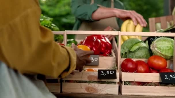 Alegre Joven Afroamericana Comprador Tomando Tomates Rojos Amarillos Maduros Del — Vídeos de Stock