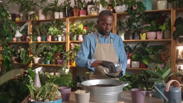 美丽的非洲男子在花店做花匠 在土壤中添加肥料 看着镜头微笑的植物 这是他的肖像 快乐迷人的非洲裔美国人雇员享受着 — 图库视频影像