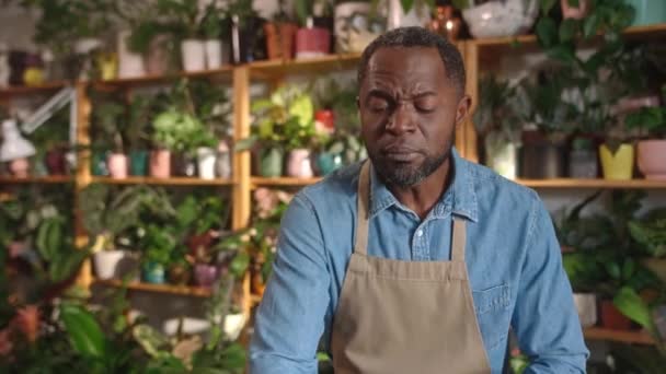 年轻的非洲裔美国男性玩世不恭的花匠 一边种植一边再种植肥料 一边笑着看着镜头看着土壤 在花店工作的专业而快乐的非洲人 — 图库视频影像