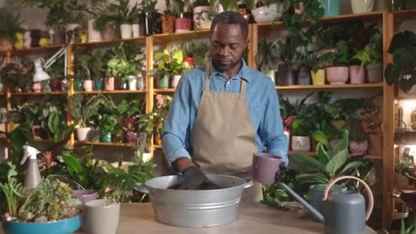 年轻的非洲裔美国人在花店照看植物 把土壤和肥料混合在一起 穿着围裙和手套工作的漂亮专注的专业男性花匠 植物概念 — 图库视频影像