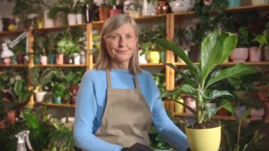 Çiçekçilik yapan, bitkilerle ilgilenen ve kameraya bakan yaşlı, pozitif kadının portresi. Çiçekçi dükkanında önlük giyip çiçek toplayan mutlu, kır saçlı kadın..