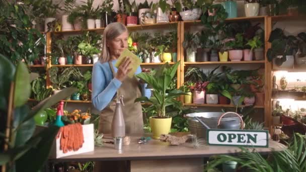 Focused Beautiful Mature Woman Spraying Plant Water Wiping Working Florist — Video