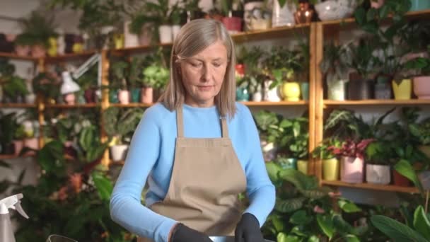 Портрет Заботливой Зрелой Женщины Работающей Цветочном Магазине Заботящейся Растениях Почве — стоковое видео