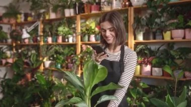 Çekici neşeli, neşeli, beyaz kadın çiçekçi olarak çalışıyor. Çiçekçide bitkilerin fotoğrafını çekmek için akıllı telefon kullanıyor. Gülümseyen güzel bir kadın çalışırken eğleniyor..